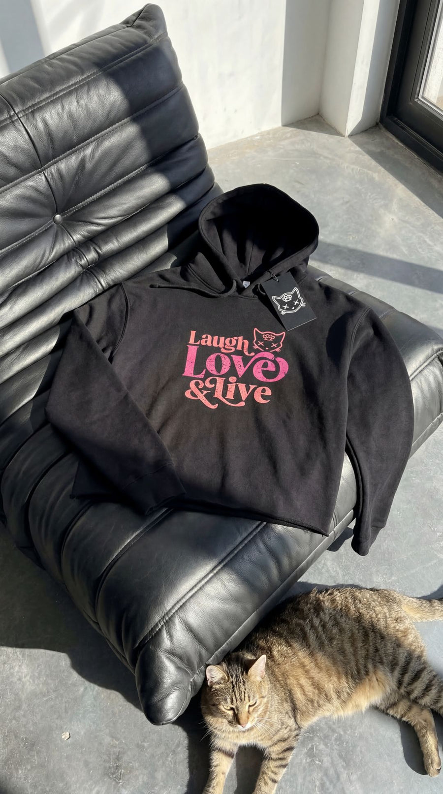 Purr Power Hoodies collection