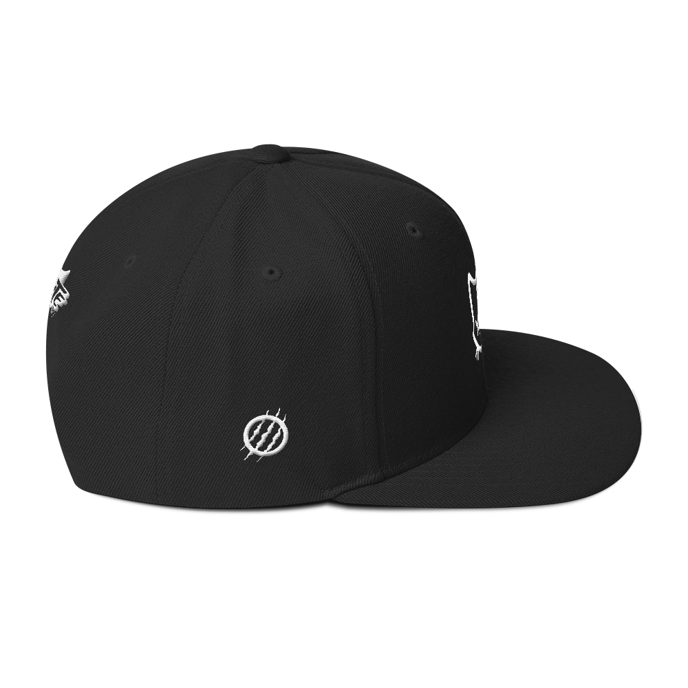 Headstrong Snapback Hat