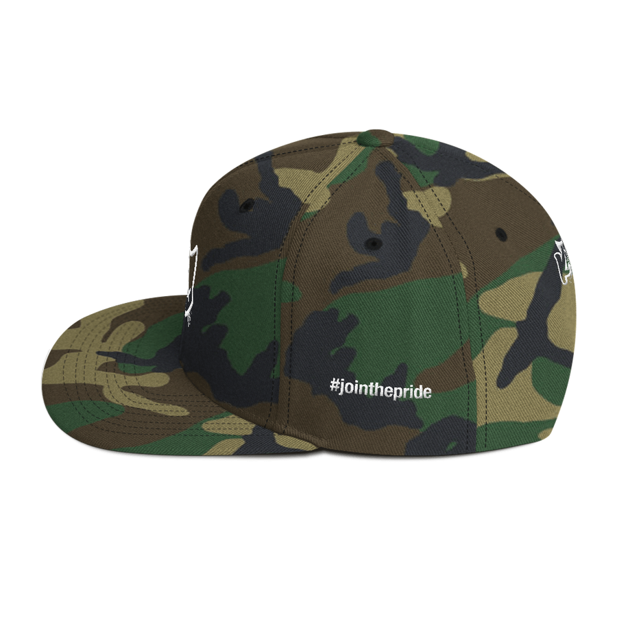 Headstrong Snapback Hat