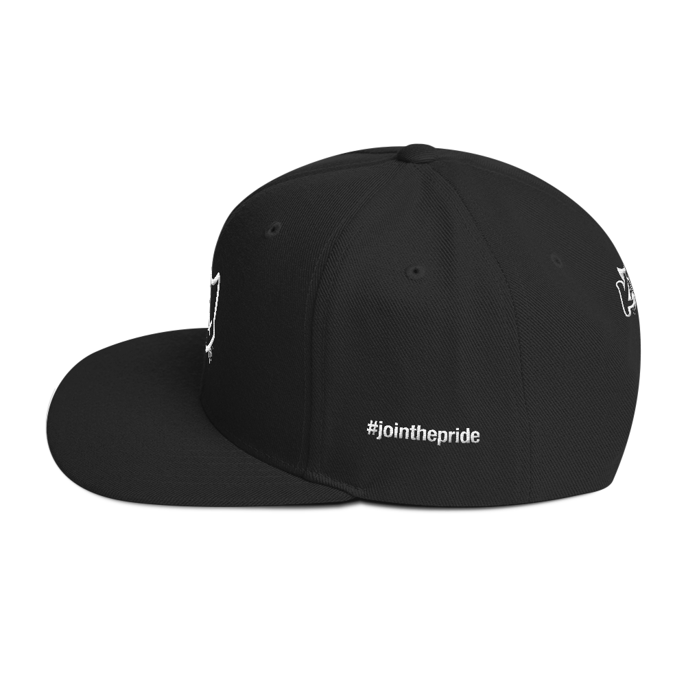 Headstrong Snapback Hat